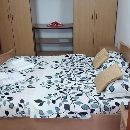 Casa Dora 2* Sovata