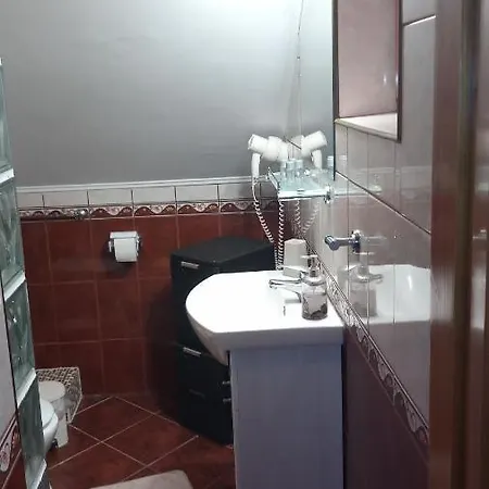 Guest house Casa Dora Sovata
