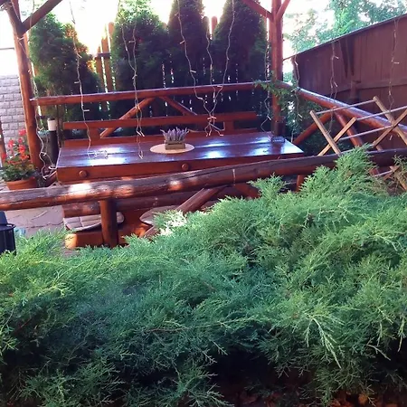 Casa Dora Guest house Sovata